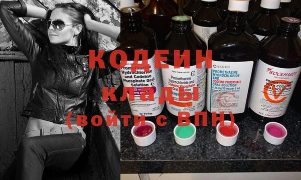 ГАЛЛЮЦИНОГЕННЫЕ ГРИБЫ Осинники
