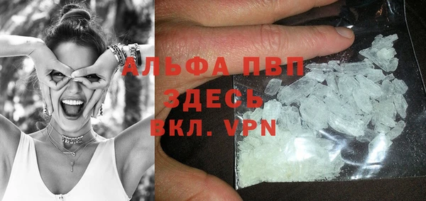 ГАЛЛЮЦИНОГЕННЫЕ ГРИБЫ Осинники