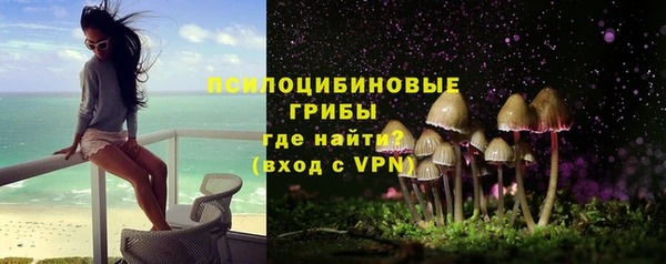 ГАЛЛЮЦИНОГЕННЫЕ ГРИБЫ Осинники