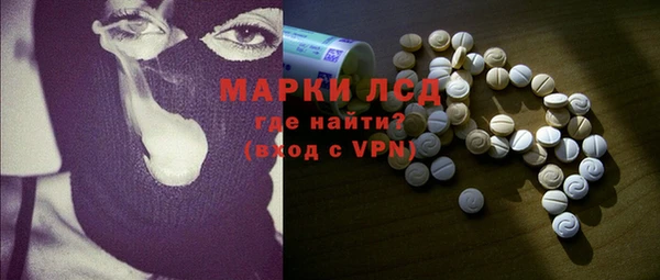 ГАЛЛЮЦИНОГЕННЫЕ ГРИБЫ Осинники
