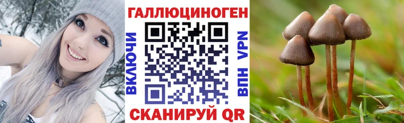 OMG ONION  Терек  Псилоцибиновые грибы мухоморы  где можно купить наркотик 